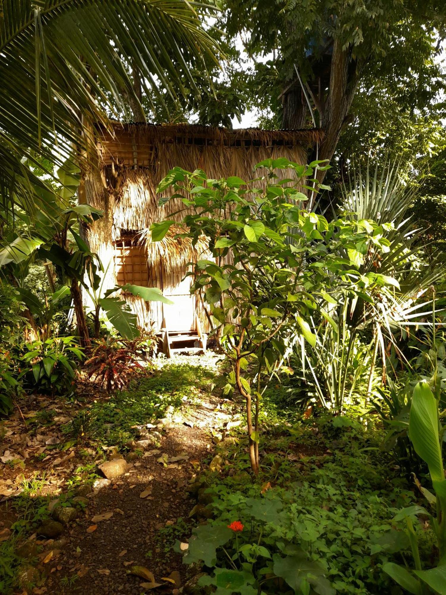 El Bamboo Cabins Balgue Exterior foto